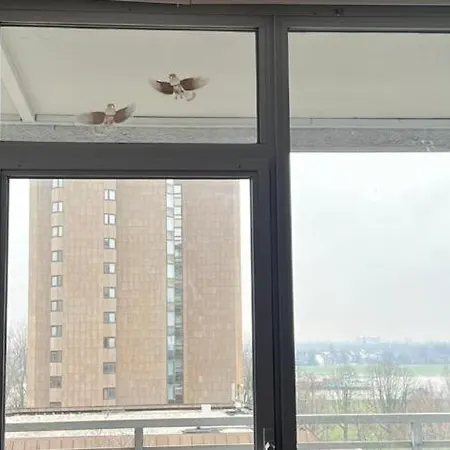 Rheinblick - Duesseldorf Neuss