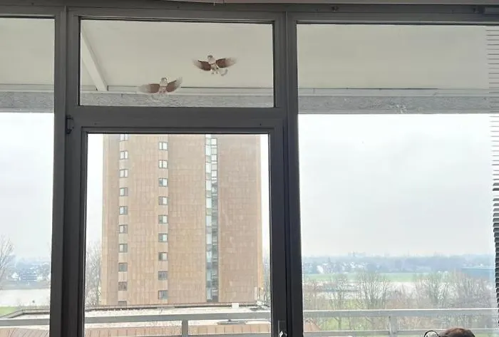 Rheinblick - Duesseldorf Neuss